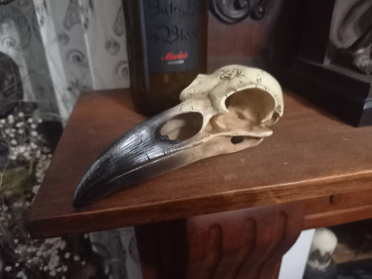 Alchemy Gothic CORVUS ALCHEMICA (V16)