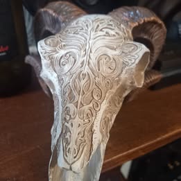 Out Of Production Vintage UNBOXED Alchemy Gothic "Alchemy vault" engraved resin ram skull