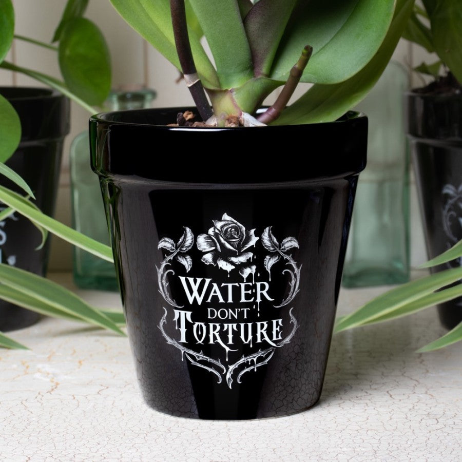 Alchemy Gothic Water Don't Torture Plant Pot