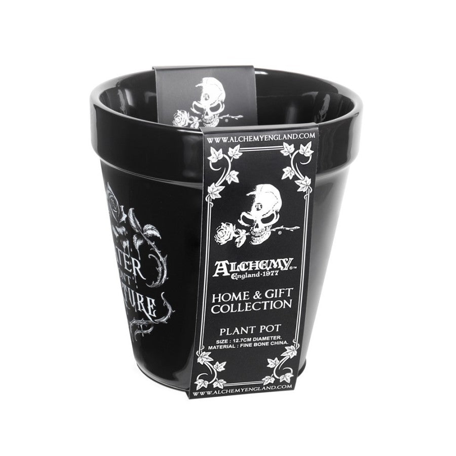 Alchemy Gothic Water Don't Torture Plant Pot