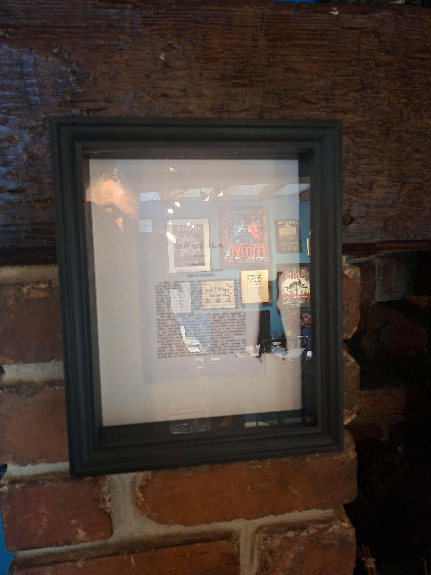Bat taxidermy "dracula" Large box frame , Oddity Curiosity Gothic Witchy Homewares
