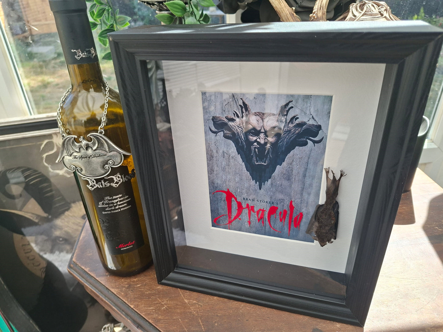 Bat taxidermy,Francis Ford Coppola's "dracula" inspired Large box frame , Oddity Curiosity Gothic Witchy Homewares