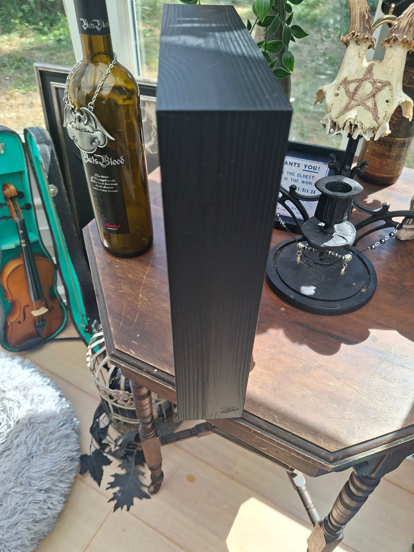 Bat taxidermy,Francis Ford Coppola's "dracula" inspired Large box frame , Oddity Curiosity Gothic Witchy Homewares
