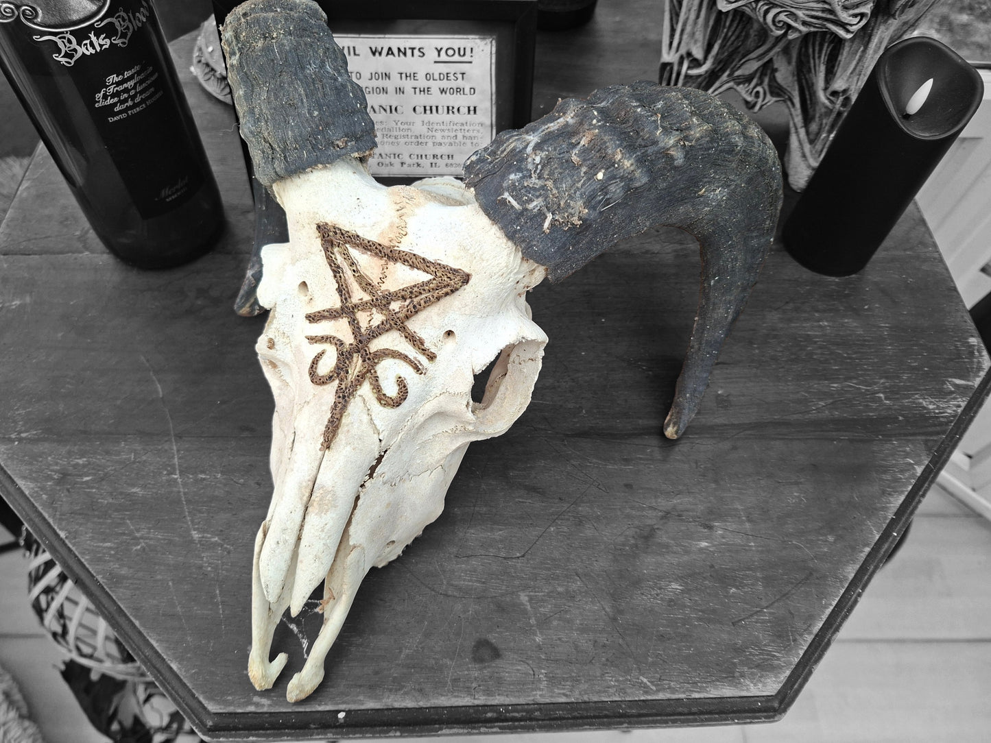Ram Skull with sculpted "Sigil Of Satan" , Occult Alterware