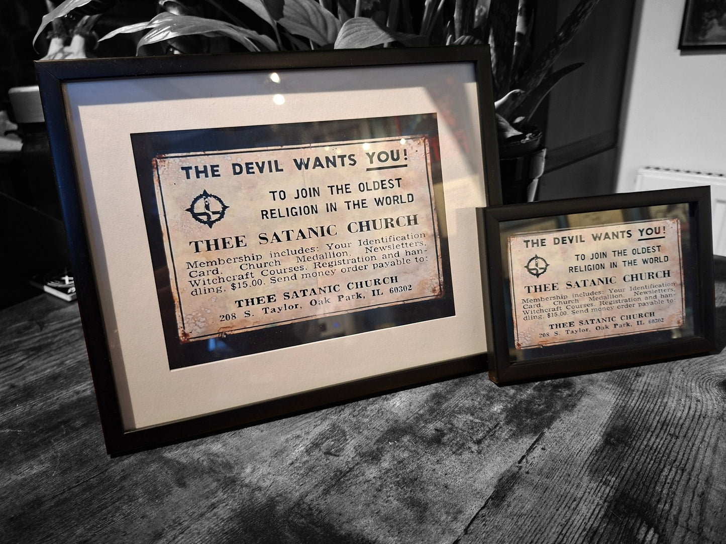 framed art "Thee Church Of Satan" :Oddity Curiosity satanic goth witchy homeware