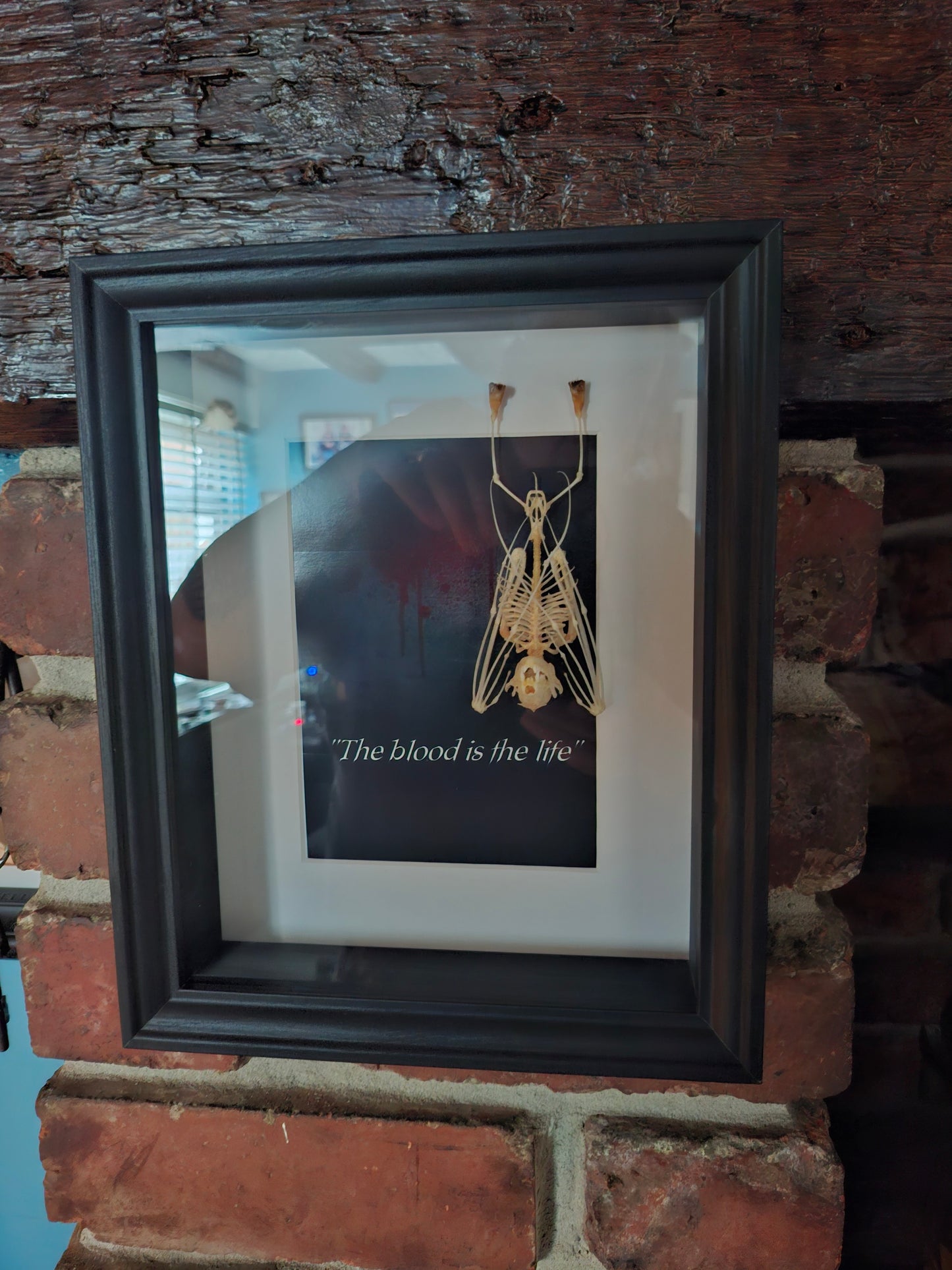 Bat Skeleton Taxidermy framed Art ,Bram Stoker's Dracula Inspired "The Blood Is The Life"