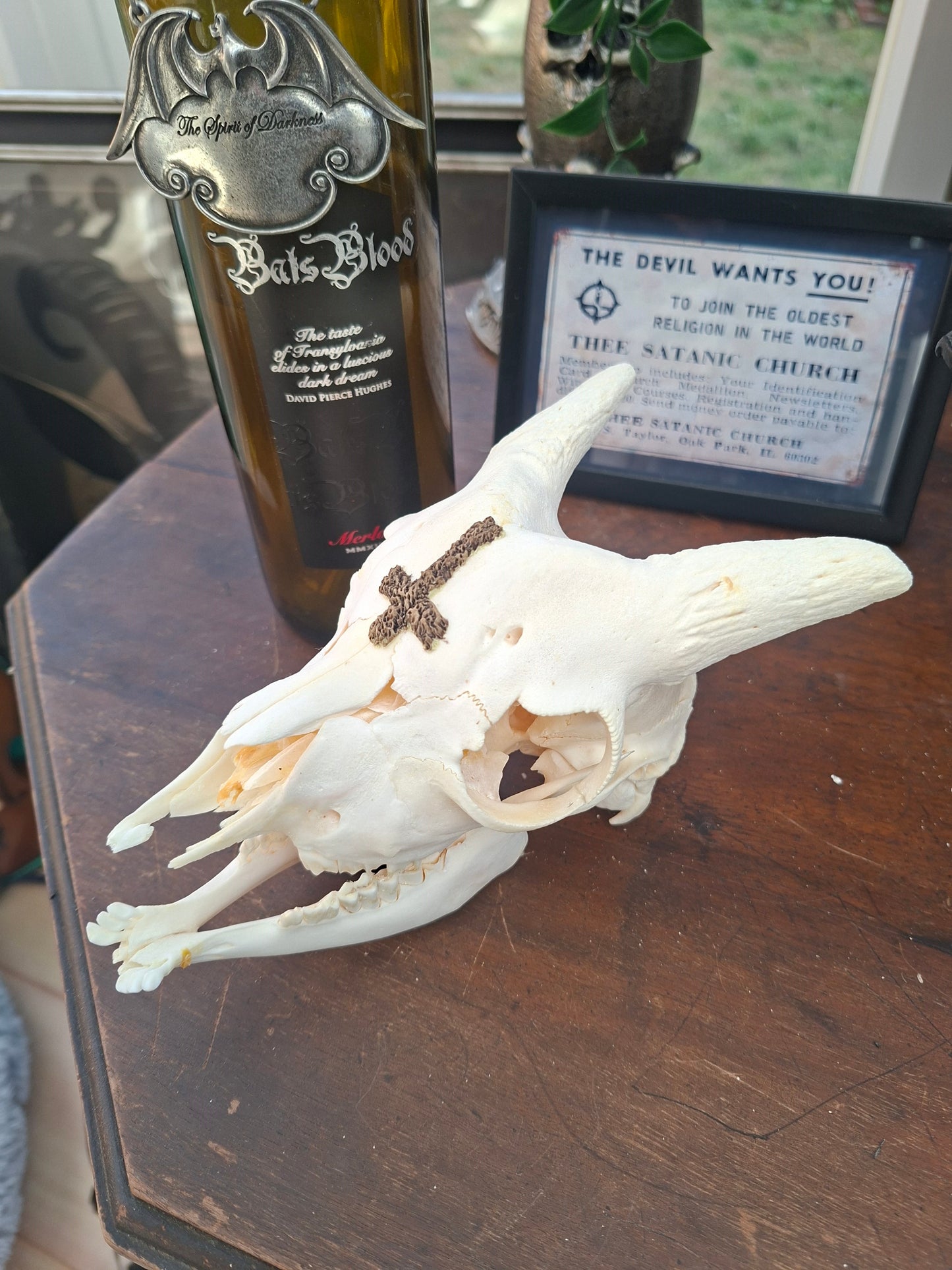 Goat Skull with sculpted "Inverted Cross" , Occult Alterware