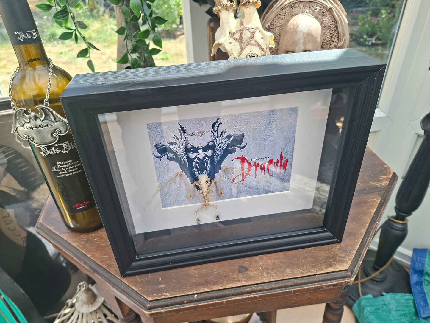 Bat Skeleton Taxidermy framed Art ,with Francis Ford Coppola's "dracula" inspired background  , Oddity Curiosity Gothic Witchy Homewares
