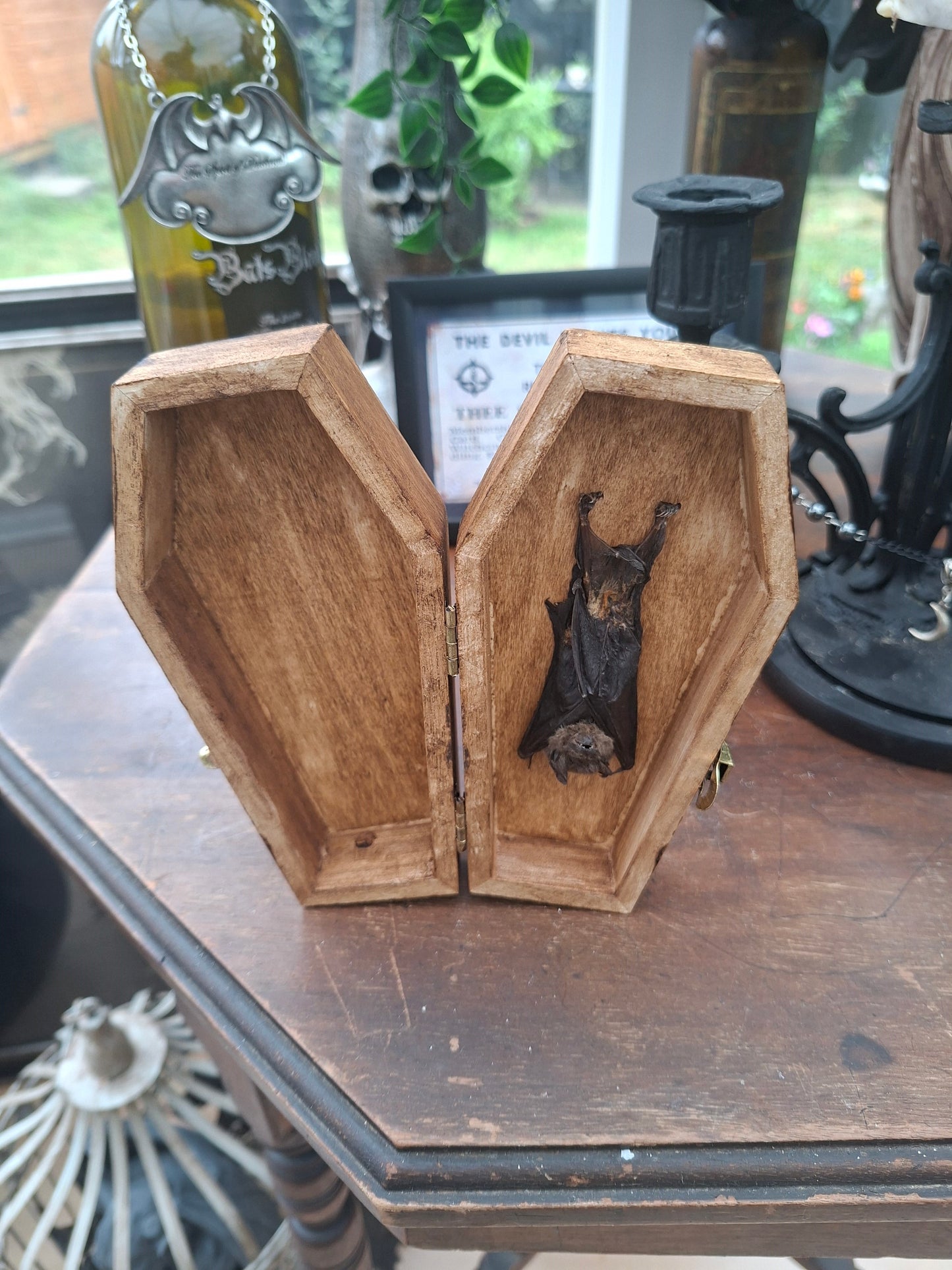 Real Bat in Wooden Coffin • Gothic Witchy Oddity Curiosity Homeware