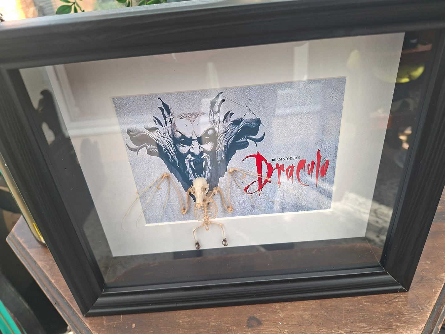 Bat Skeleton Taxidermy framed Art ,with Francis Ford Coppola's "dracula" inspired background  , Oddity Curiosity Gothic Witchy Homewares