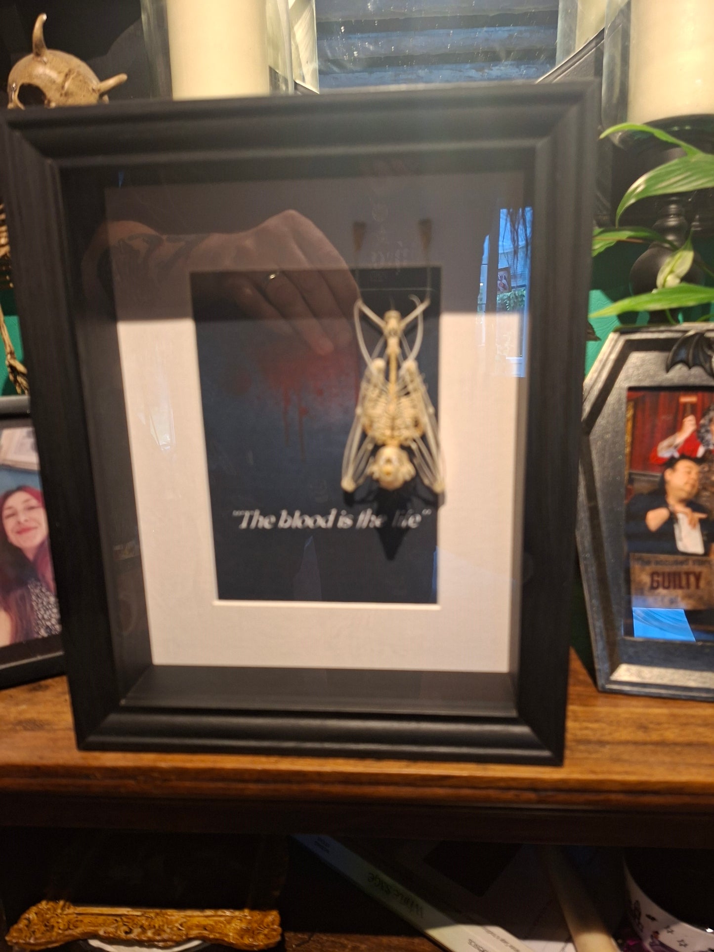 Bat Skeleton Taxidermy framed Art ,Bram Stoker's Dracula Inspired "The Blood Is The Life"