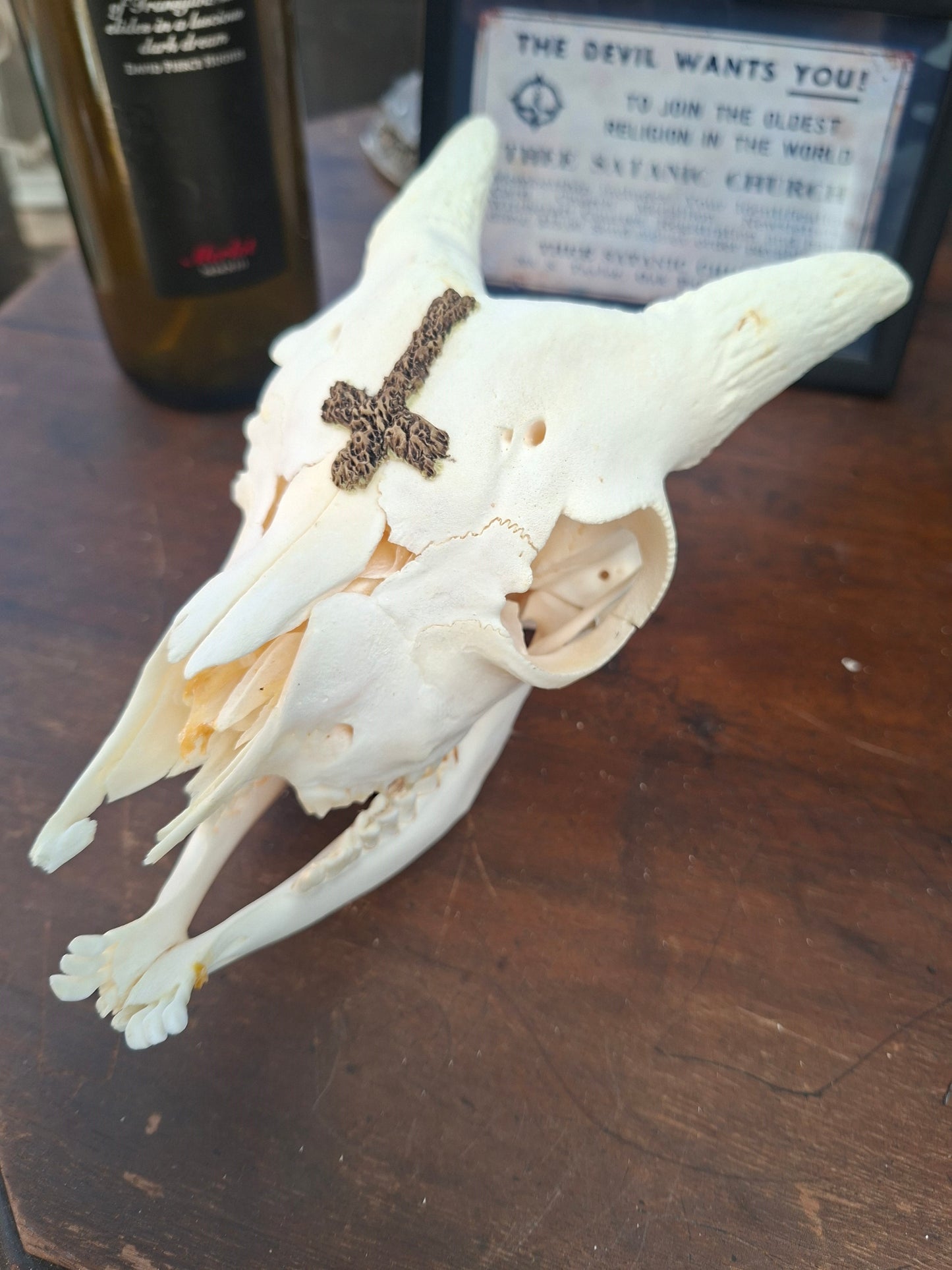 Goat Skull with sculpted "Inverted Cross" , Occult Alterware
