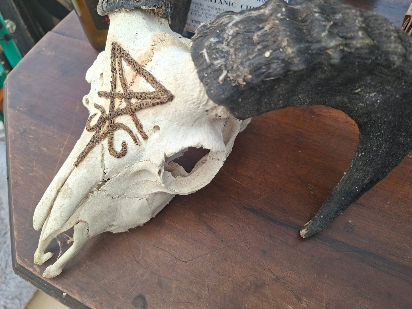 Ram Skull with sculpted "Sigil Of Satan" , Occult Alterware