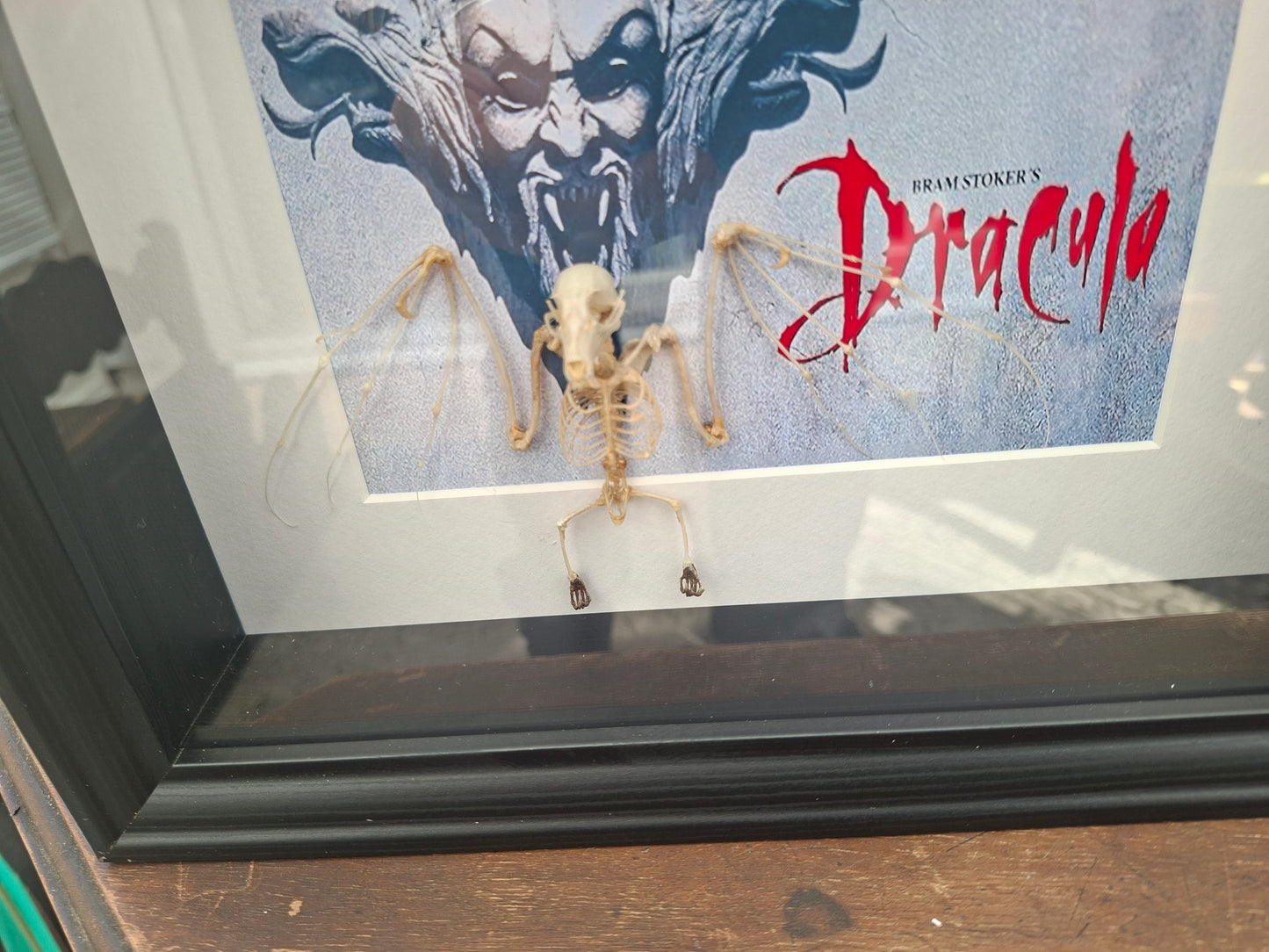 Bat Skeleton Taxidermy framed Art ,with Francis Ford Coppola's "dracula" inspired background  , Oddity Curiosity Gothic Witchy Homewares