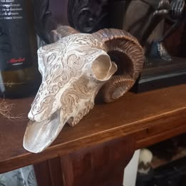 Out Of Production Vintage UNBOXED Alchemy Gothic "Alchemy vault" engraved resin ram skull