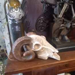 Out Of Production Vintage UNBOXED Alchemy Gothic "Alchemy vault" engraved resin ram skull