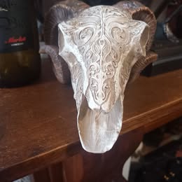 Out Of Production Vintage UNBOXED Alchemy Gothic "Alchemy vault" engraved resin ram skull