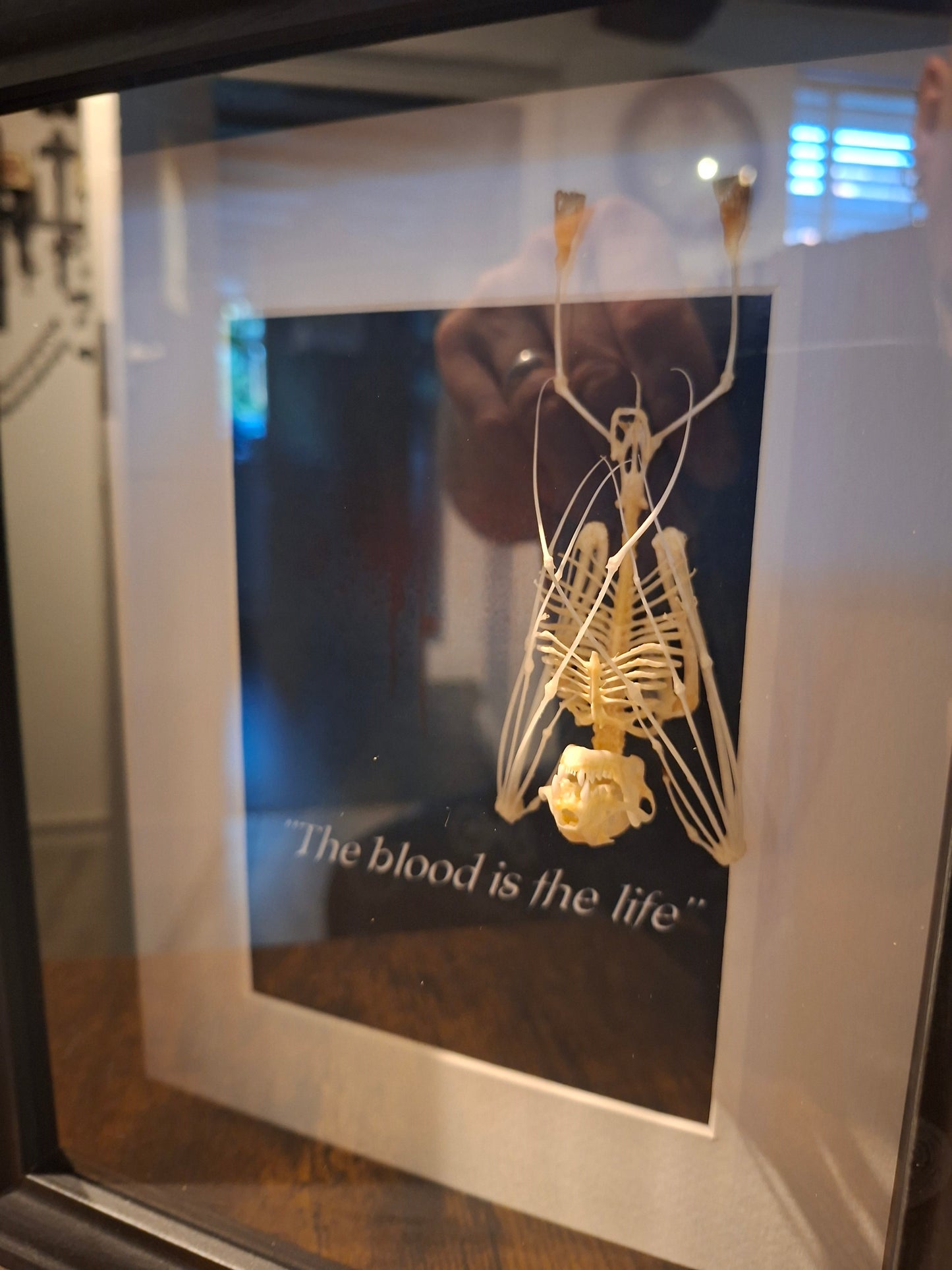 Bat Skeleton Taxidermy framed Art ,Bram Stoker's Dracula Inspired "The Blood Is The Life"