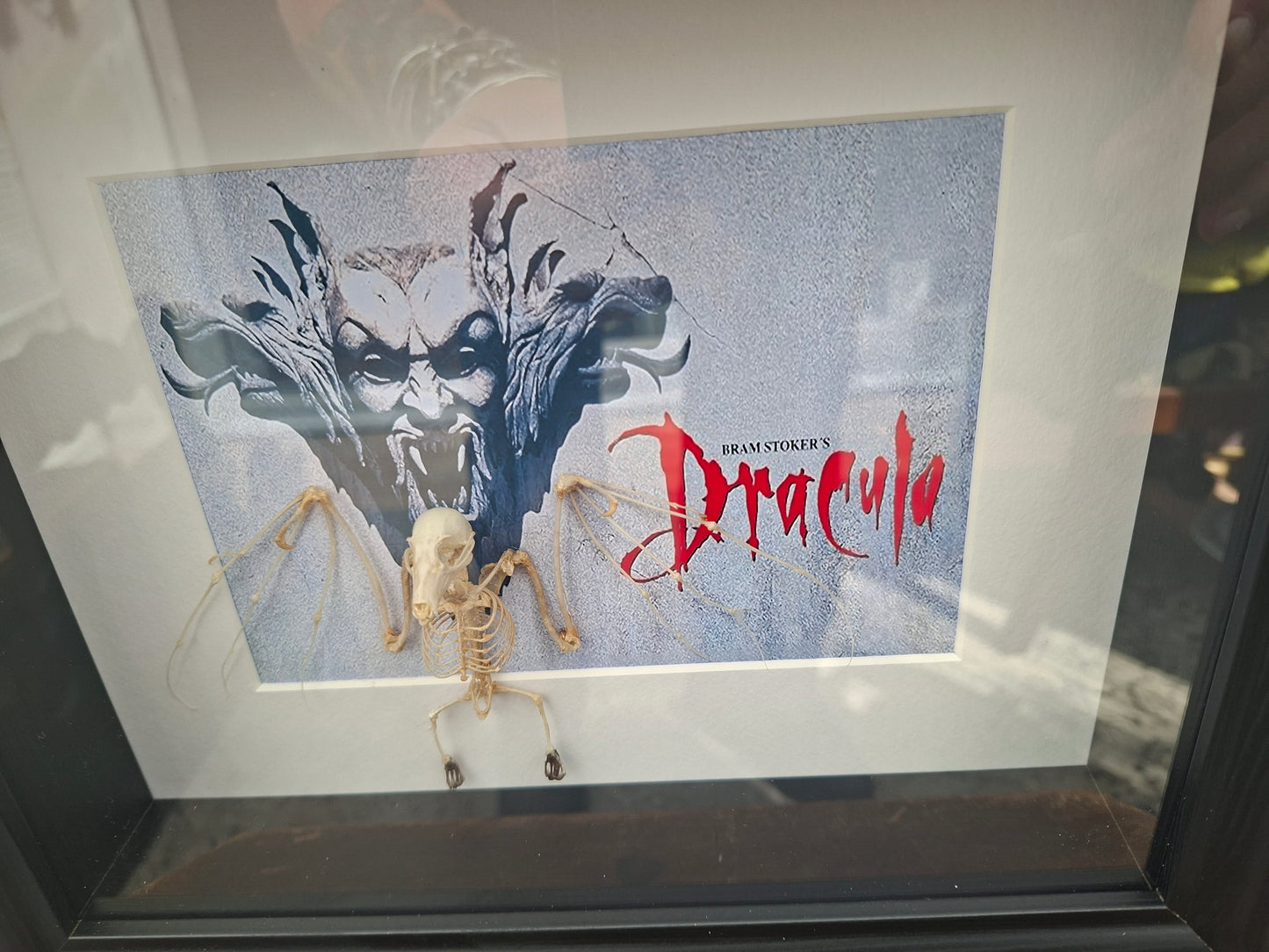 Bat Skeleton Taxidermy framed Art ,with Francis Ford Coppola's "dracula" inspired background  , Oddity Curiosity Gothic Witchy Homewares