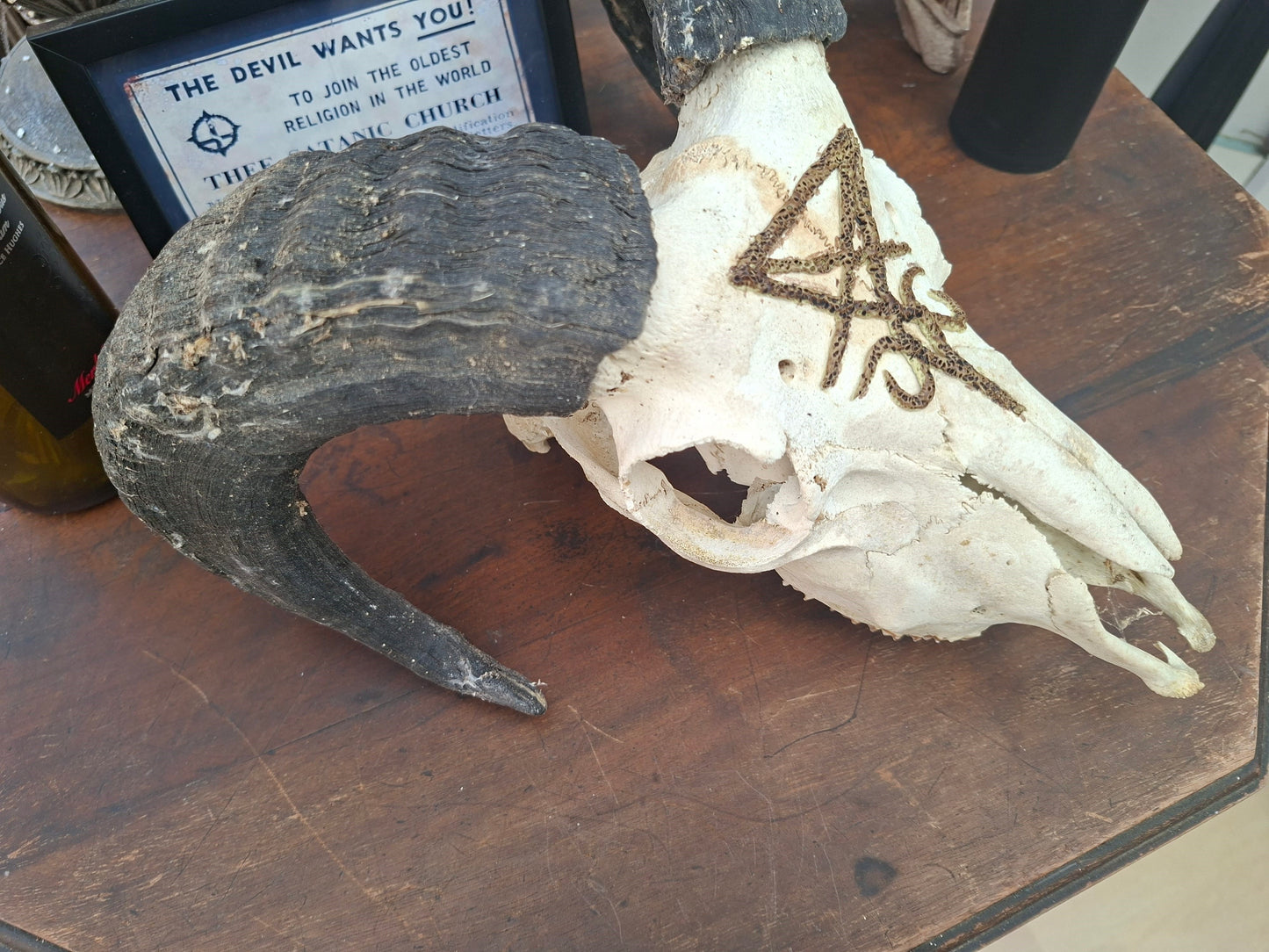 Ram Skull with sculpted "Sigil Of Satan" , Occult Alterware