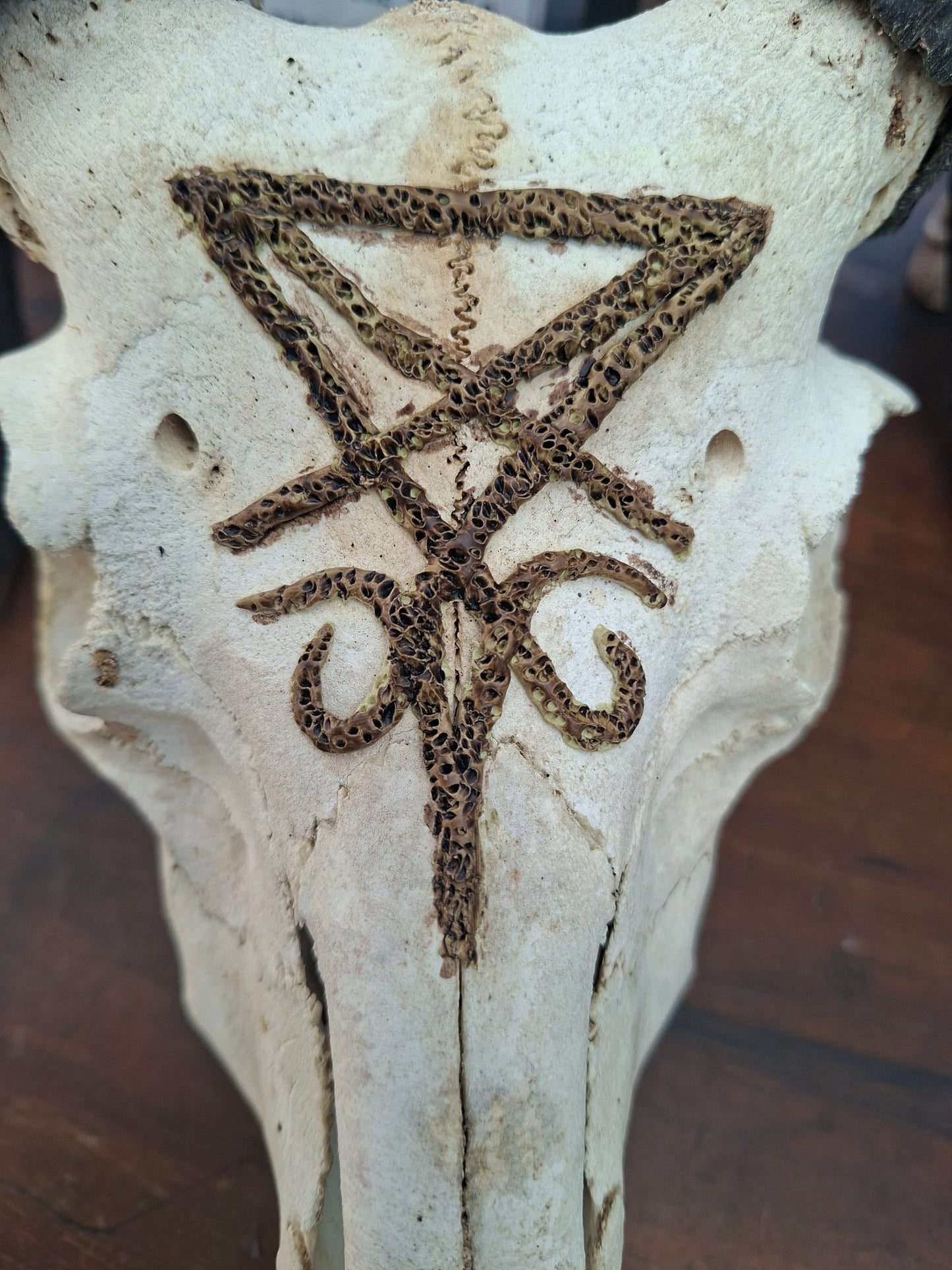 Ram Skull with sculpted "Sigil Of Satan" , Occult Alterware
