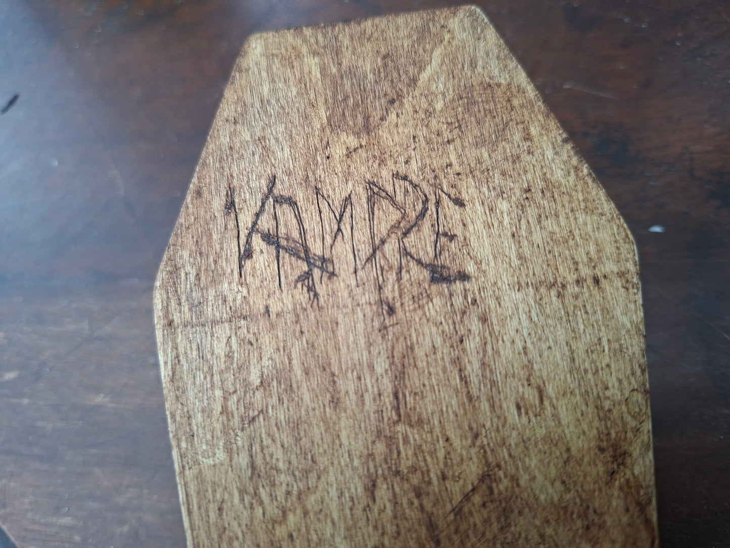 Real Bat in Wooden Coffin • Gothic Witchy Oddity Curiosity Homeware