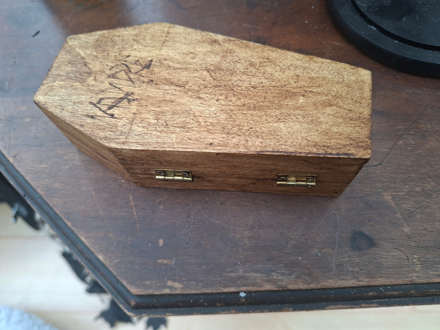 Real Bat in Wooden Coffin • Gothic Witchy Oddity Curiosity Homeware