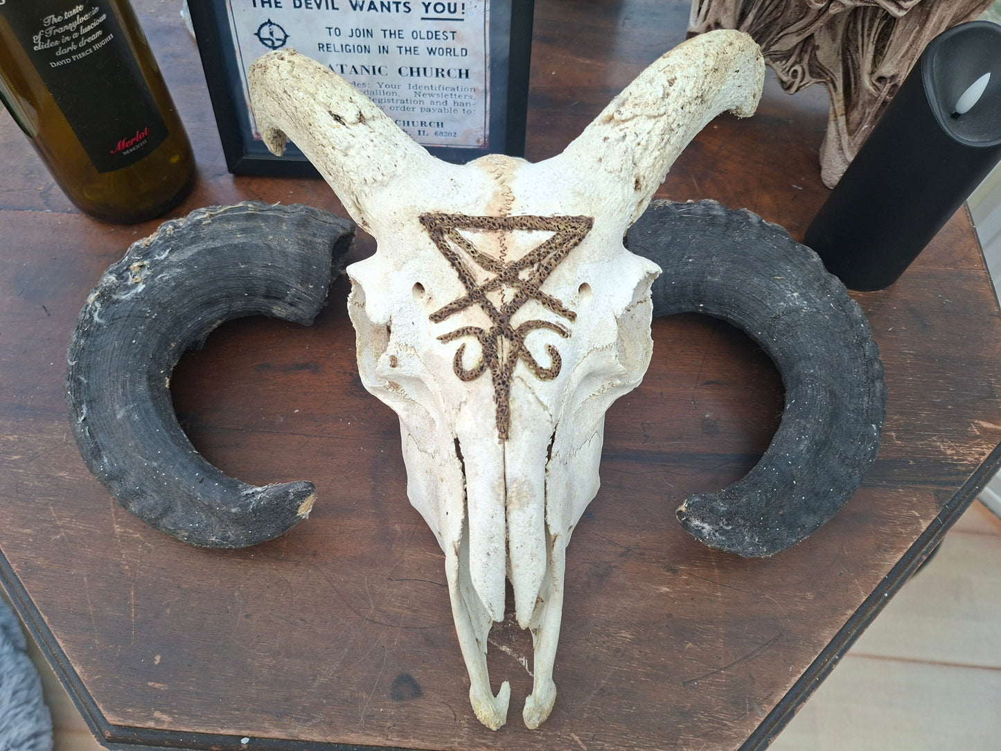 Ram Skull with sculpted "Sigil Of Satan" , Occult Alterware