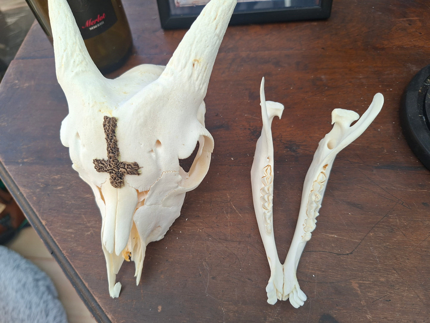 Goat Skull with sculpted "Inverted Cross" , Occult Alterware