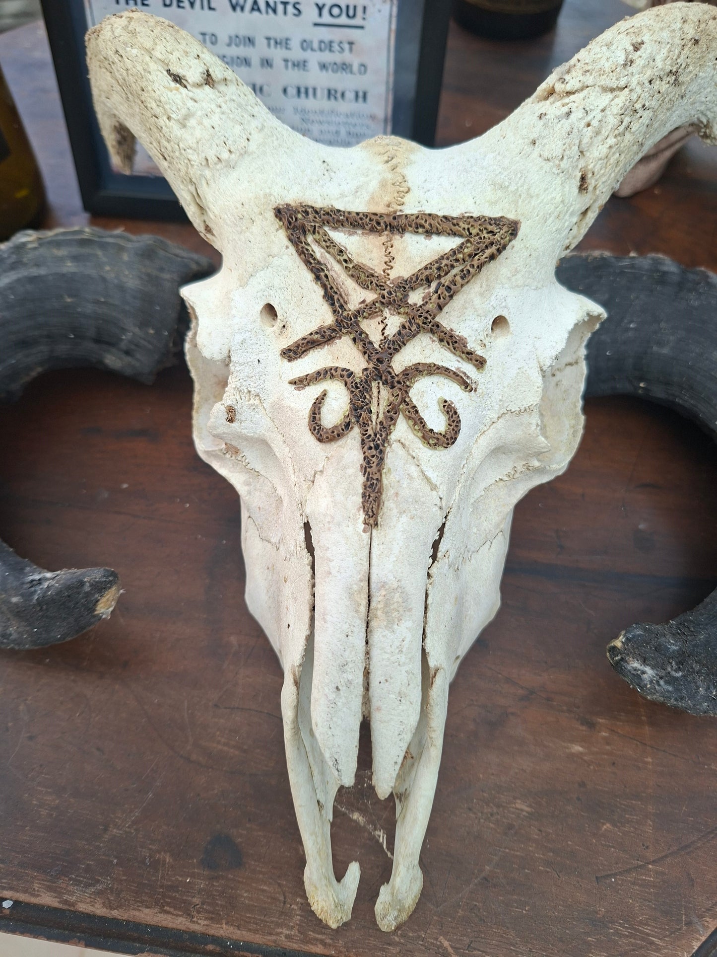 Ram Skull with sculpted "Sigil Of Satan" , Occult Alterware