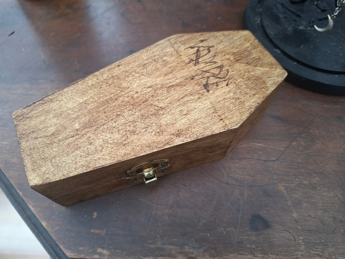 Real Bat in Wooden Coffin • Gothic Witchy Oddity Curiosity Homeware
